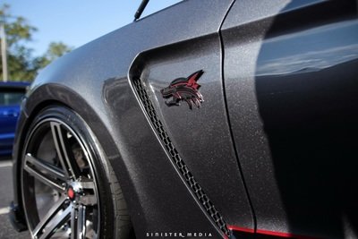 Coyote Fender Badge