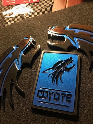 Coyote Square  Grill Badge