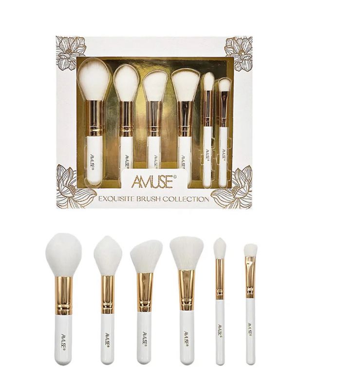 6 PC Brush Set