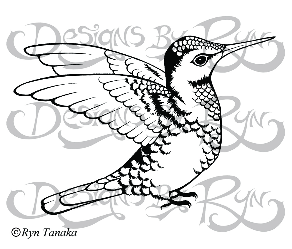 Stretching Hummingbird