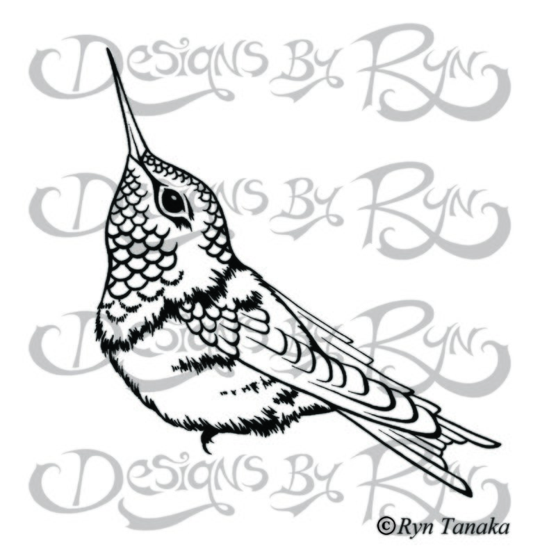 Perching Hummingbird