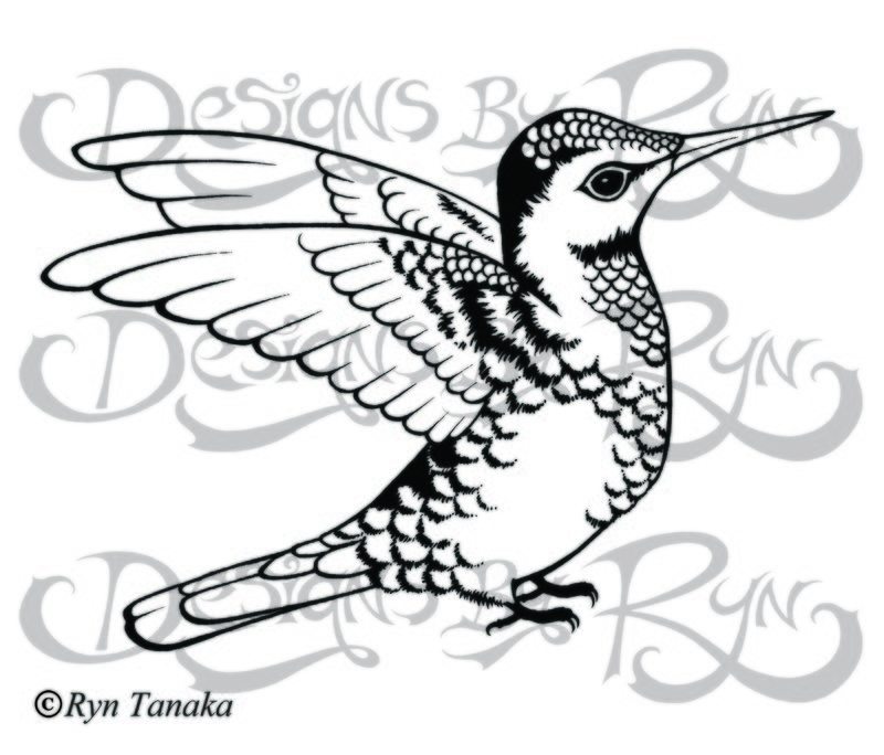 Stretching Hummingbird