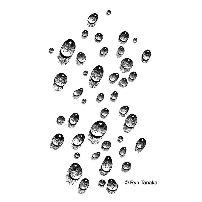 Water Droplets