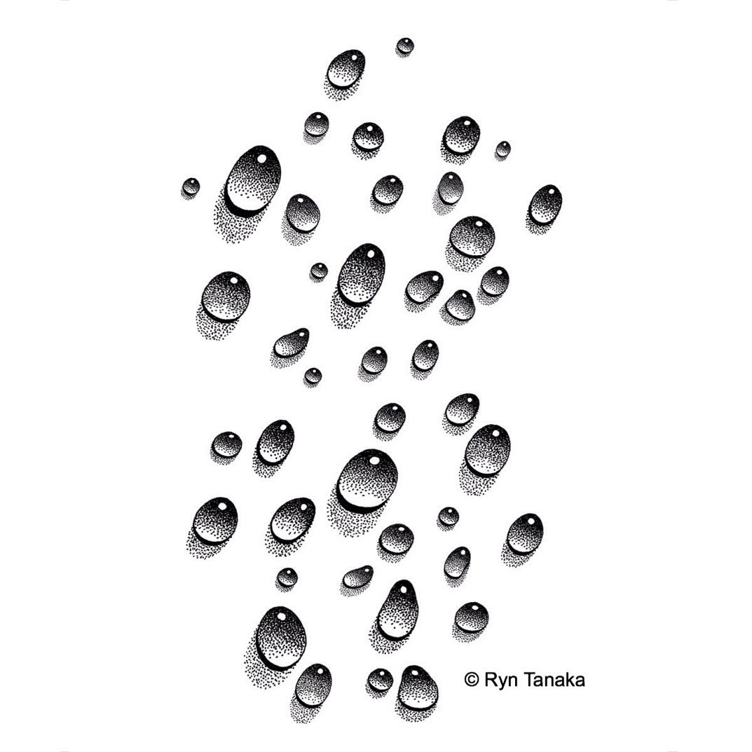 Water Droplets Water Droplets