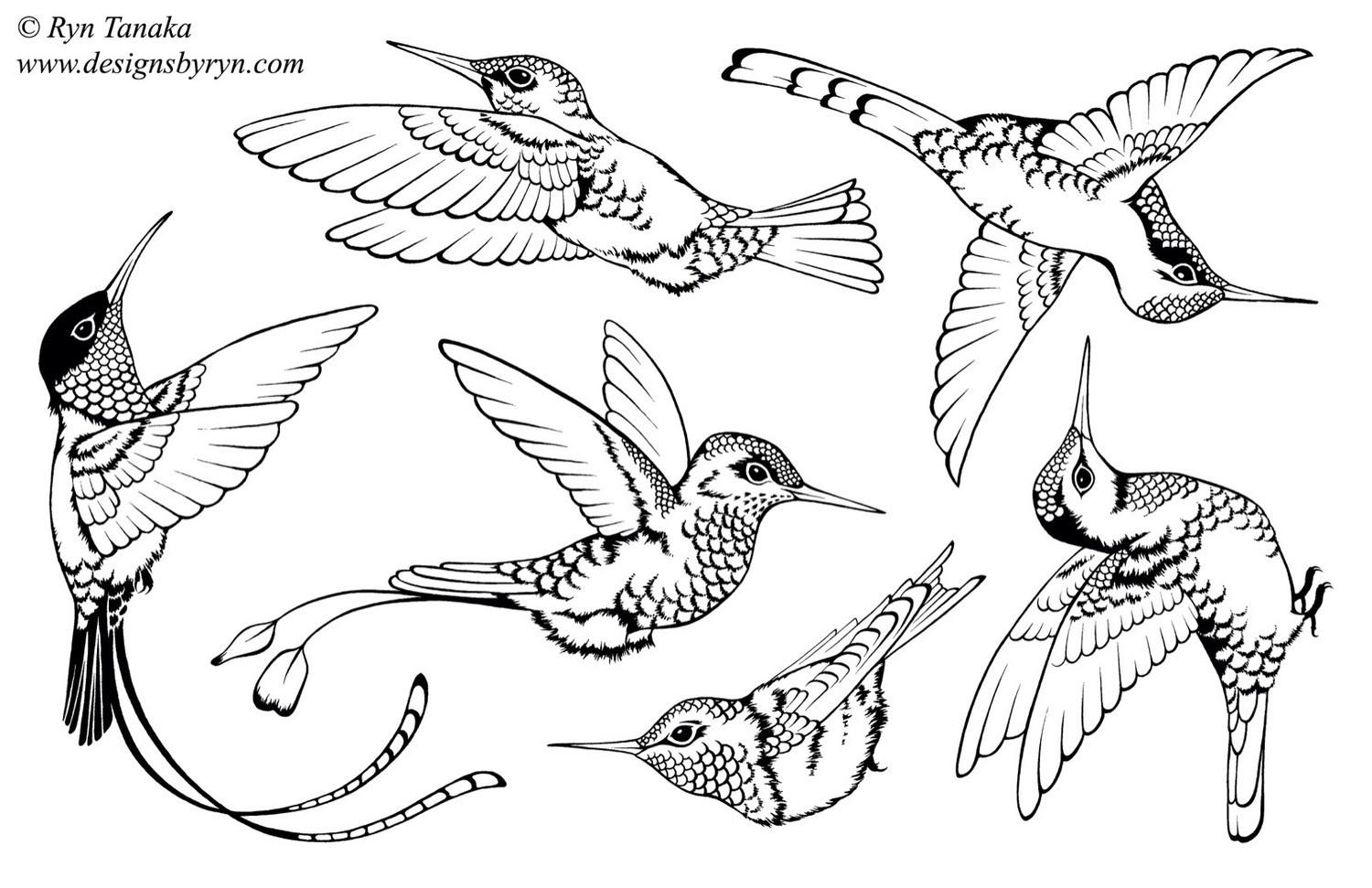 Hummingbirds 2 - Unmounted stamps