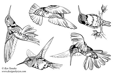 Hummingbirds 1 - Unmounted stamps