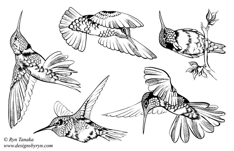 Hummingbirds 1 - Unmounted stamps
