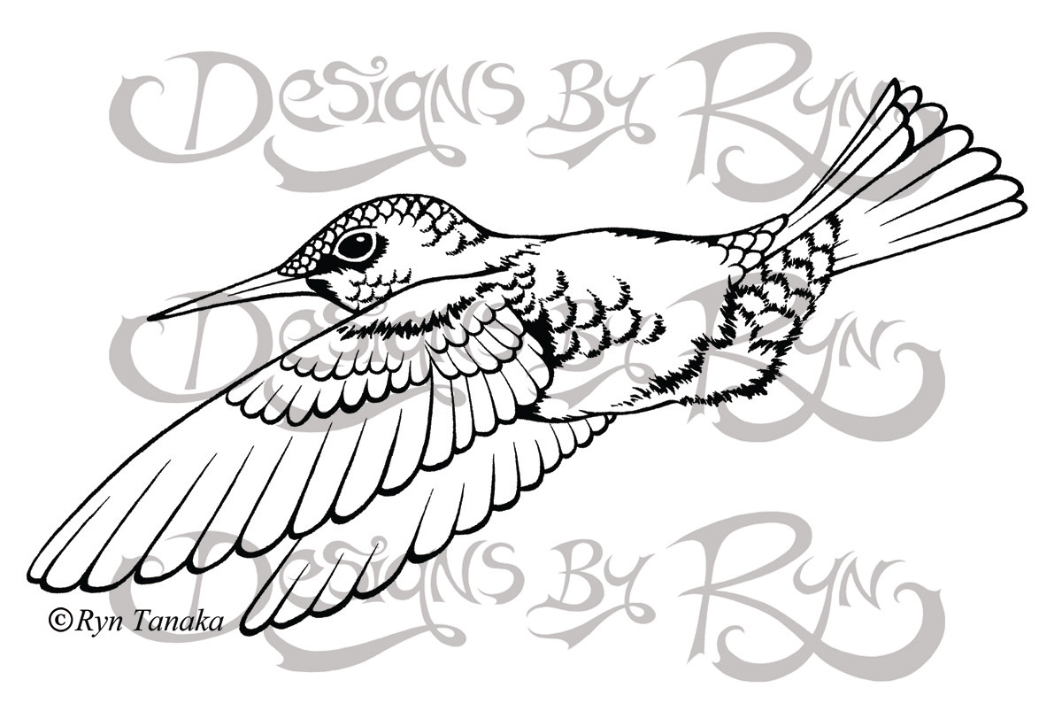 Reaching Hummingbird