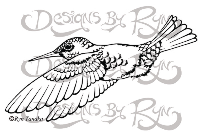 Reaching Hummingbird