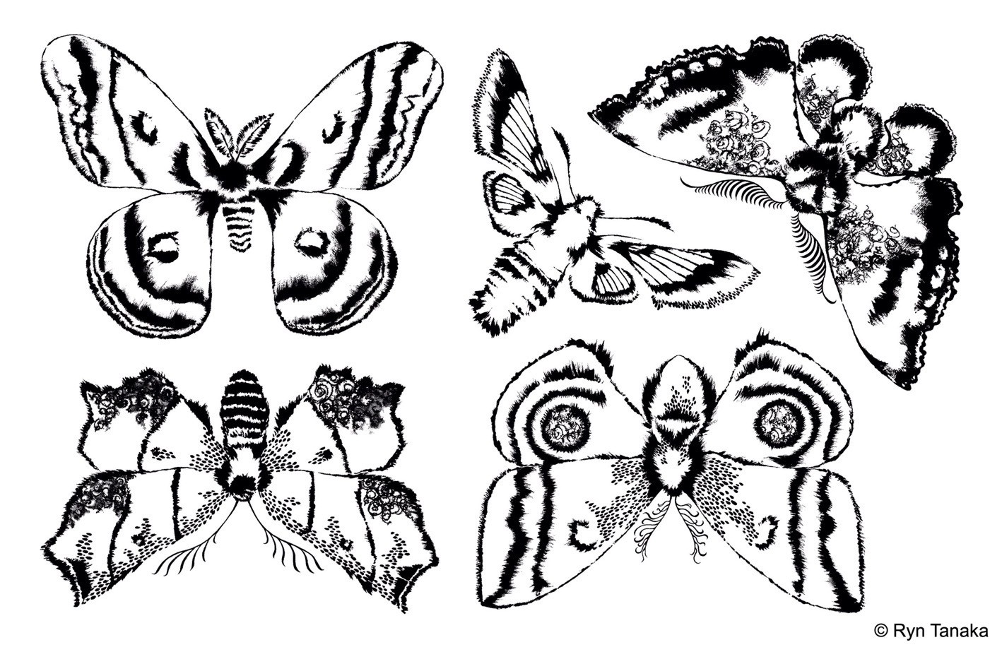 Moon Wings - Unmounted stamps