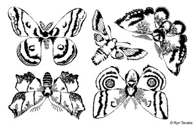 Moon Wings - Unmounted stamps