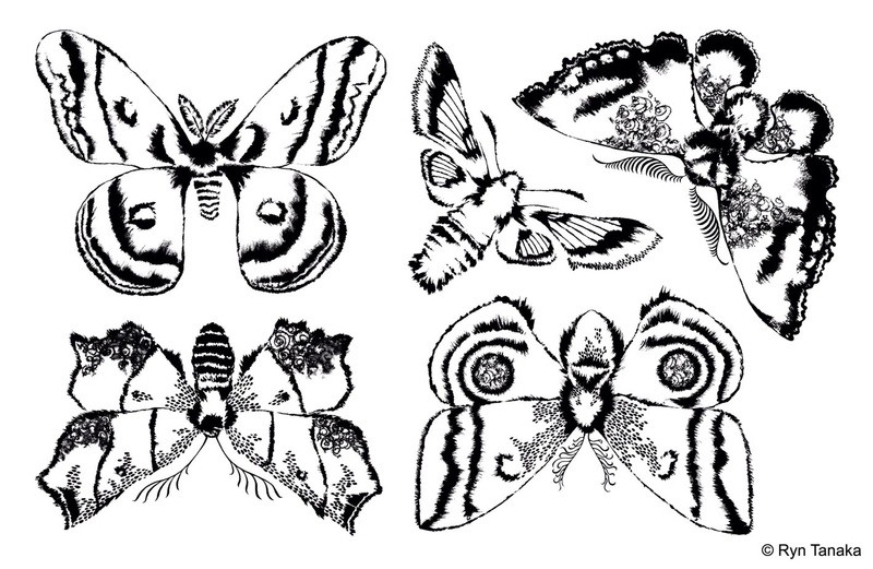 Moon Wings - Unmounted stamps