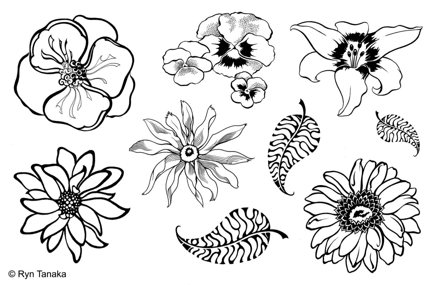 Flowers - Unmounted stamps