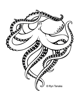 Octopus
