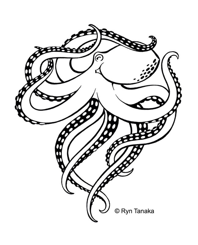 Octopus