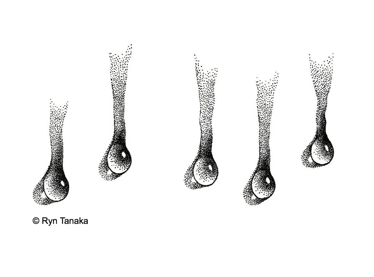 Trickling Water 2 - CM-T17