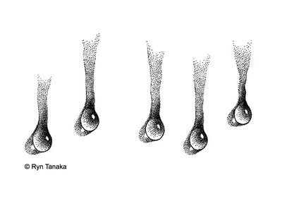 Trickling Water 2 - CM-T17