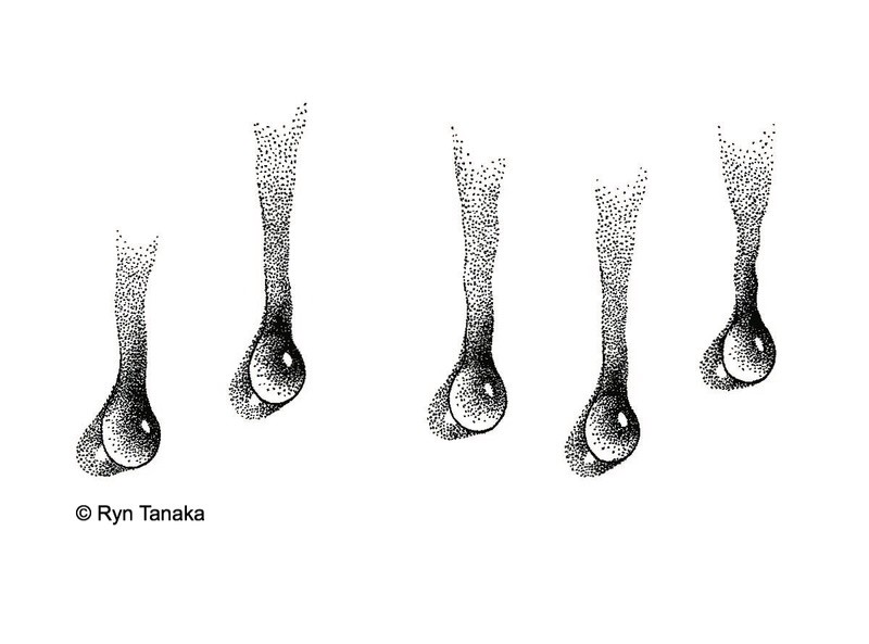 Trickling Water 2 - CM-T17