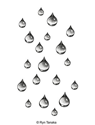 Raindrops