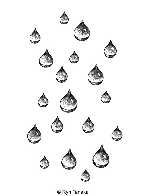 Raindrops