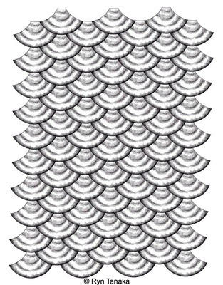 Fish Scales