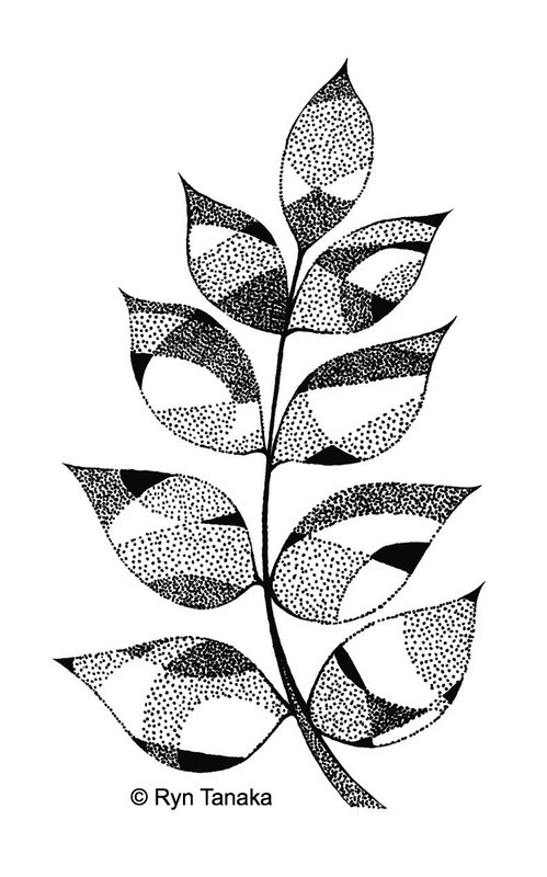 Compound Leaf
