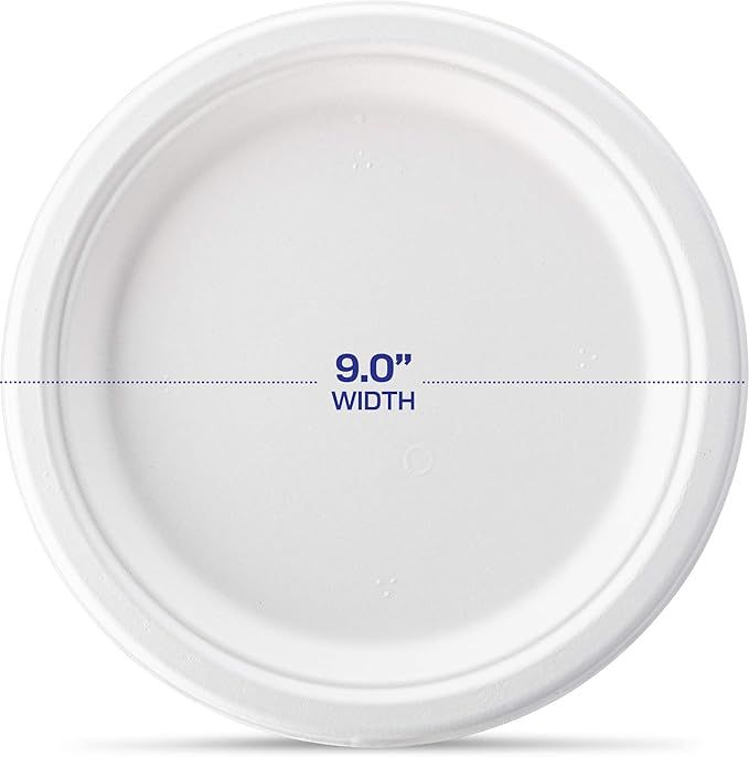 Bagasse Plate, 9 Inch, White finish, 500 plates/ case