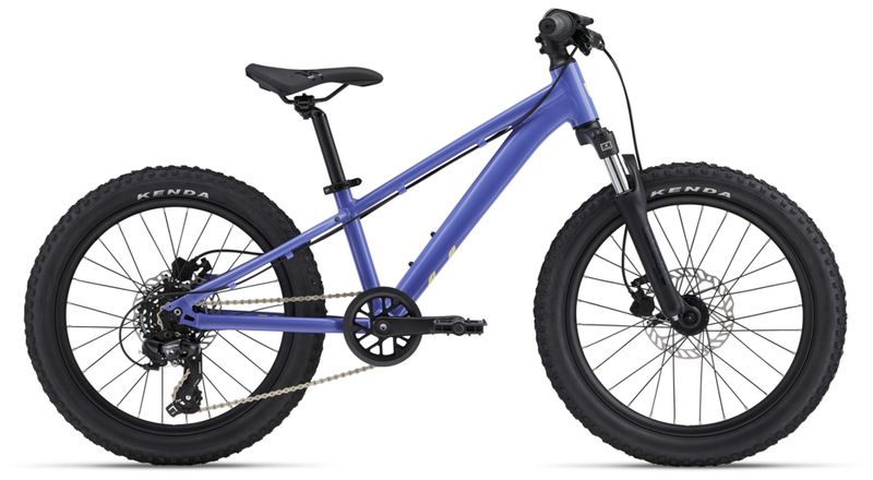 STP 20&quot; FS