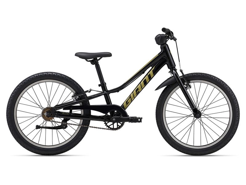 TALON 20 SS 2026