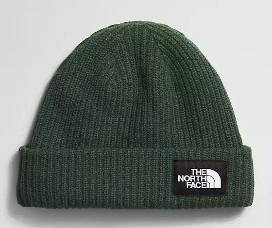 The North Face Salty Dog Lined Beanie, COLOR: PINE NEEDLE, SIZE: OS