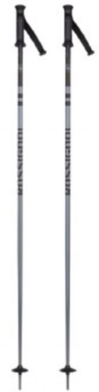Rossignol Stovebox Pole