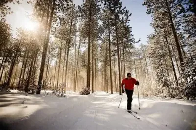 Cross Country Skis