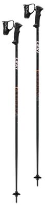 Adult Ski Poles