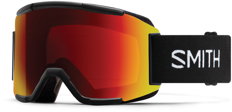 Smith Squad Goggle