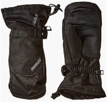 Gordini Men's GTX Gauntlet Mitt, COLOR: BLK, SIZE: L