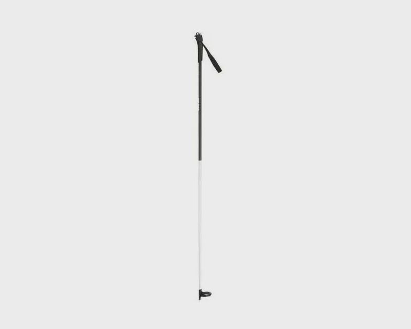 Rossignol FT 500 Pole