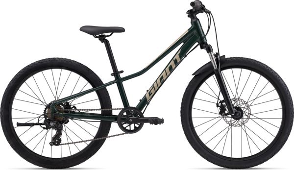 TALON 24 DISC, COLOR: TREKKING GREEN