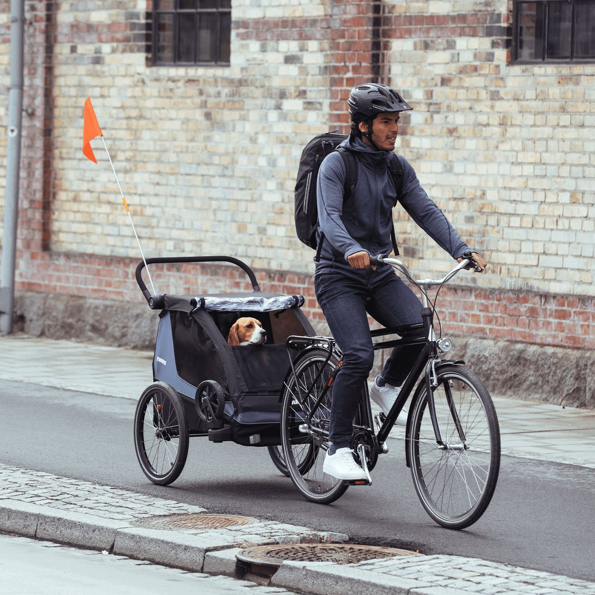 Thule Courier Pet Kit