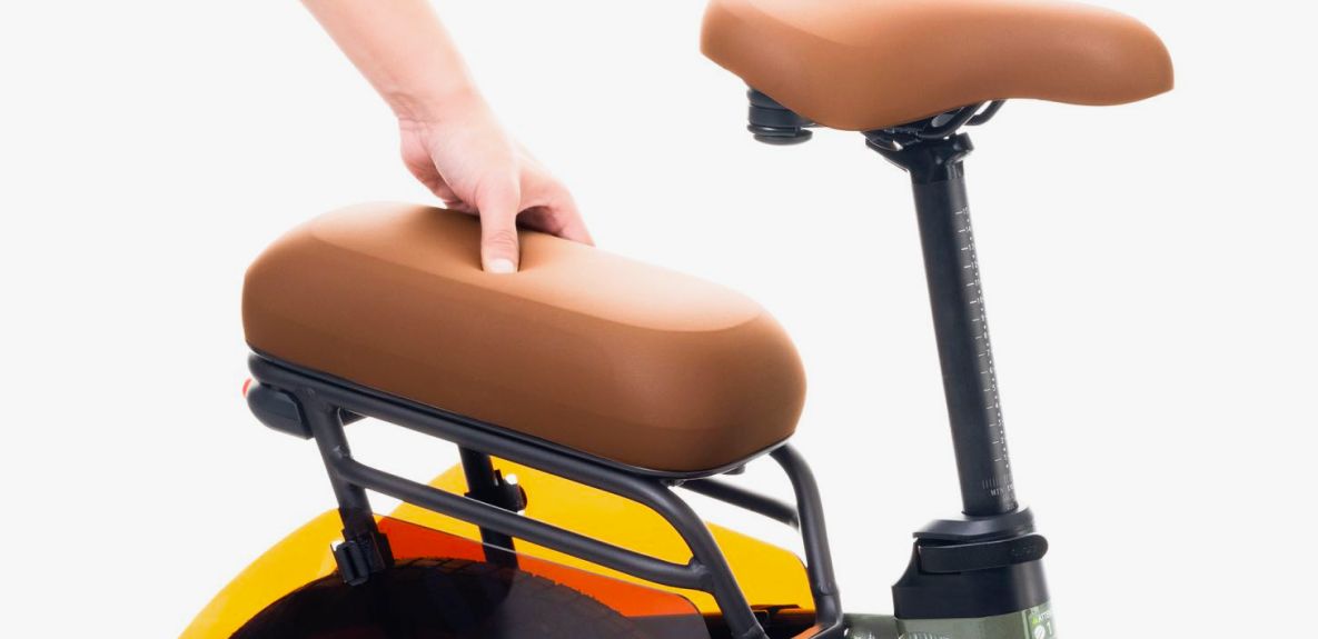 Segway Muxi Passenger Kit