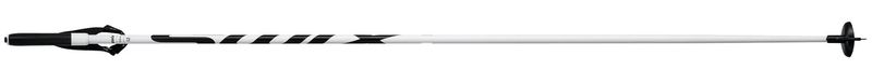 Swix I2 Pole