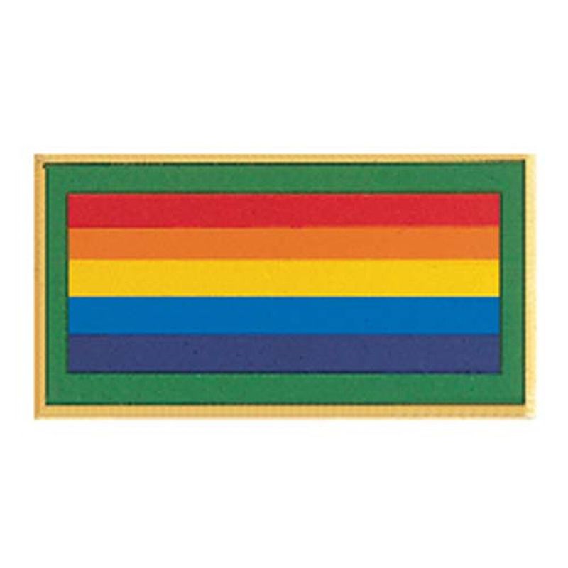 Bridge to Adult  GS PIN