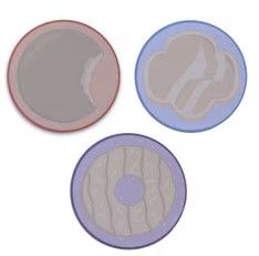 Cookie Fun Finds Sticky Notes
