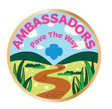 Ambassadors Pave the Way Super Fun Patch