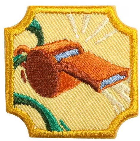 Ambassador Coaching Badge