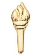 Ambassador Torch Award Pin - Gold