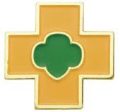 Ambassador Safety Award Pin