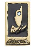 Ambassador Your Voice, Your World Journey Pin