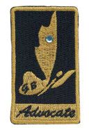 Ambassador Your Voice, Your World Journey Patch