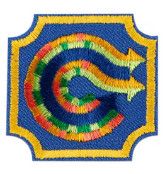 Ambassador Coding Basics Badge