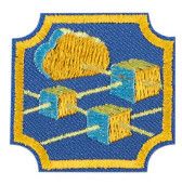 Ambassador Cybersecurity Basics Badge
